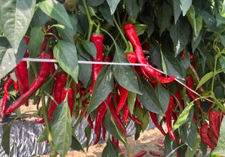 김재우님의 작성글 사진