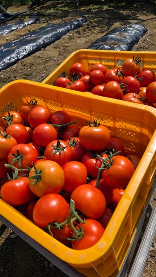 인제 돈키호테님의 작성글 사진