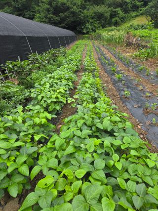 툇골짜기님의 자유주제 · 자유게시판 작성글 사진