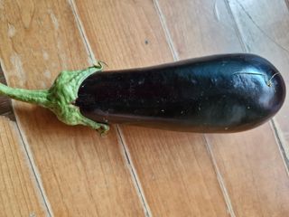 종이박님의 자유주제 · 자유게시판 작성글 사진