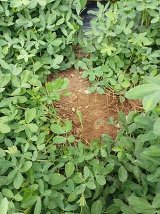 유영옥님의 자유주제 · 자유게시판 작성글 사진