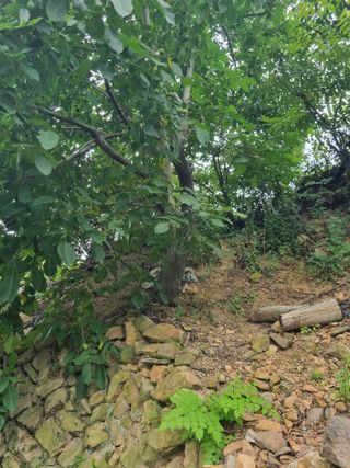 김용대님의 자유주제 · 자유게시판 작성글 사진