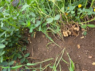 툇골짜기님의 자유주제 · 자유게시판 작성글 사진