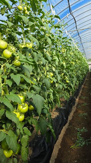 인제 돈키호테님의 작성글 사진