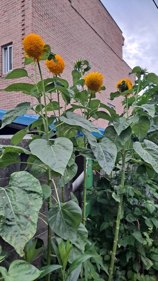 MSG0074님의 자유주제 · 자유게시판 작성글 사진