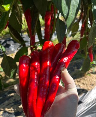 김재우님의 작성글 사진