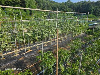 권오군님의 작성글 사진