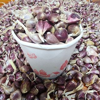 박동현님의 작성글 사진