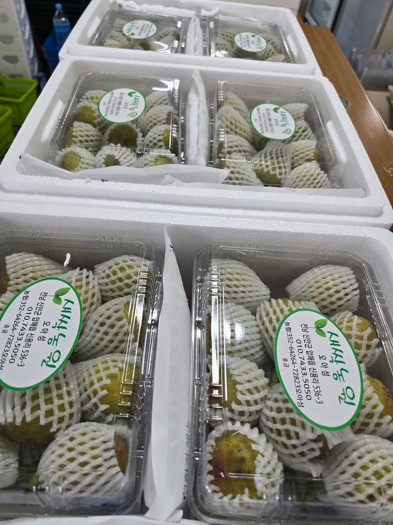 오아성님의 장터 판매 상품 [생무화과  1.2kg내외] 첨부 사진