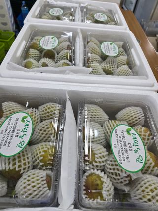 오아성님의 작성글 사진