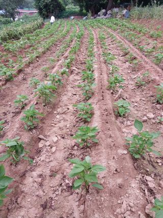 정금천님의 자유주제 · 자유게시판 작성글 사진