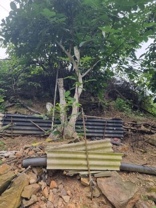 김용대님의 자유주제 · 자유게시판 작성글 사진