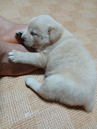 인생은 소풍처럼님의 자유주제 · 자유게시판 작성글 사진