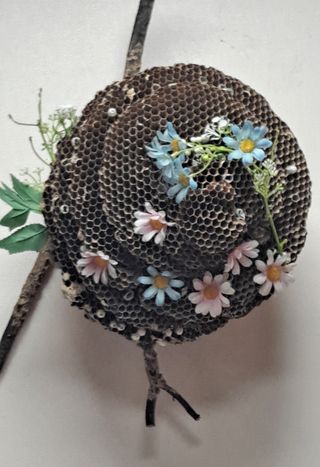 MSG0074님의 자유주제 · 자유게시판 작성글 사진