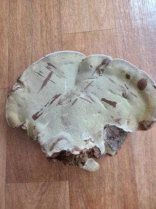 김계희님의 자유주제 · 자유게시판 작성글 사진