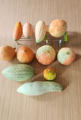 팜모닝 자유주제·자유게시판 게시글 이미지