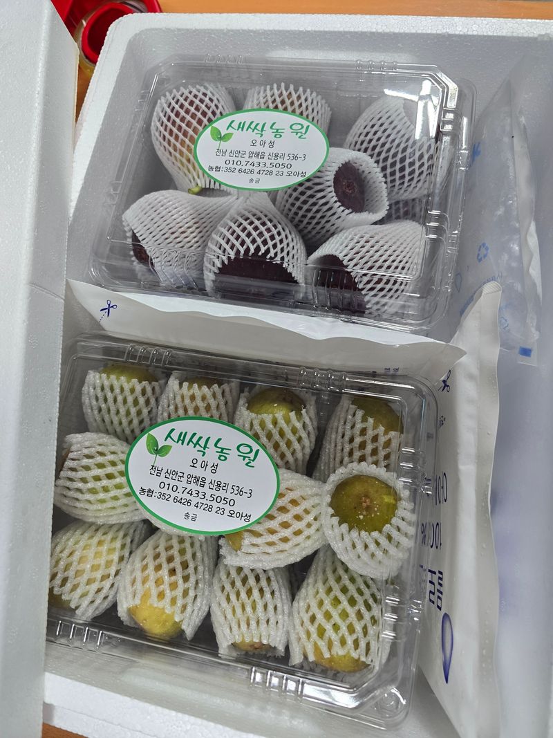 오아성님의 장터 판매 상품 [생무화과  1.2kg내외] 첨부 사진