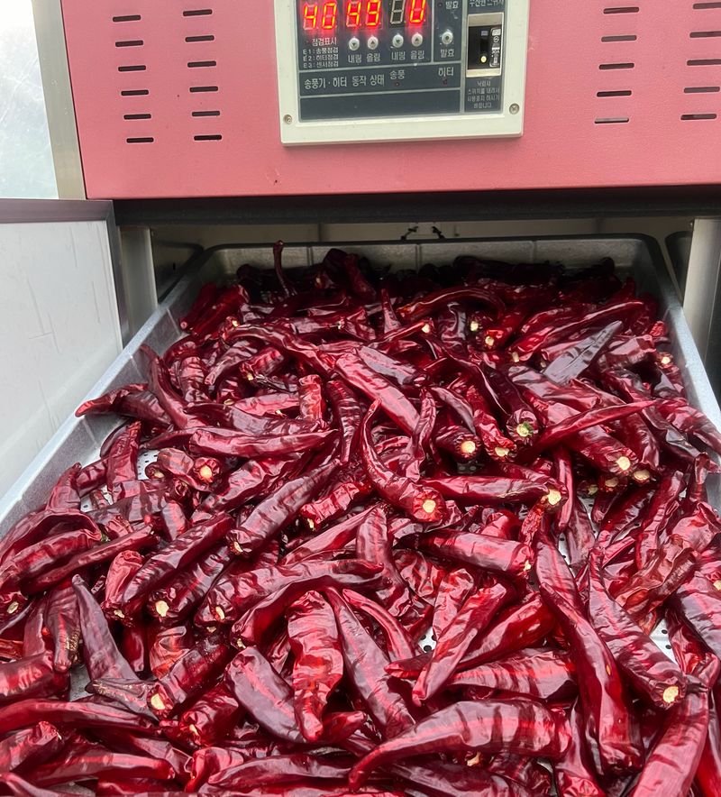 장터 상품 [25년 고춧가루-판매완료-] 썸네일