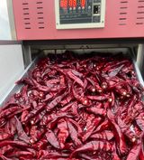 팜모닝 · 게시글 이미지