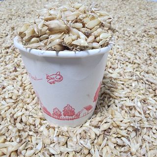 박동현님의 작성글 사진