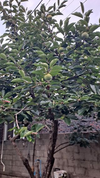 MSG0074님의 자유주제 · 자유게시판 작성글 사진