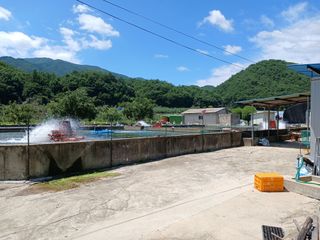 알 수 없음님의 자유주제 · 자유게시판 작성글 사진