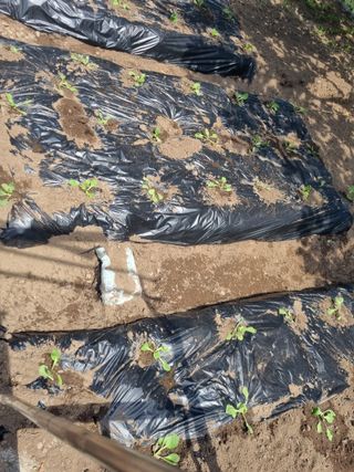 김용대님의 자유주제 · 자유게시판 작성글 사진