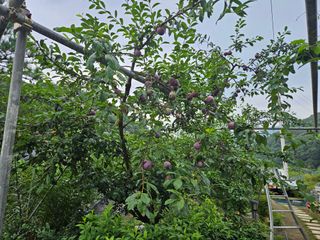 최인환님의 자유주제 · 자유게시판 작성글 사진