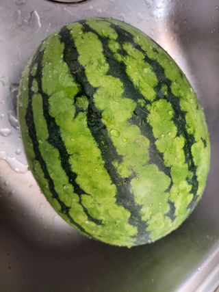 원빈님의 자유주제 · 자유게시판 작성글 사진