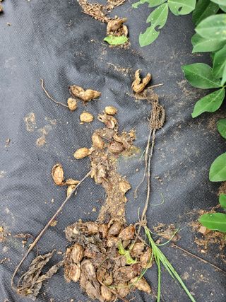 이영호님의 자유주제 · 자유게시판 작성글 사진