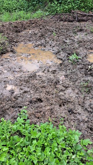 나도농부님의 자유주제 · 자유게시판 작성글 사진