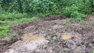 나도농부님의 자유주제 · 자유게시판 작성글 사진