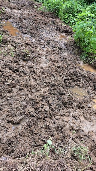 나도농부님의 자유주제 · 자유게시판 작성글 사진