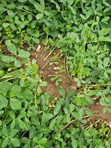 팜모닝 자유주제·자유게시판 게시글 이미지