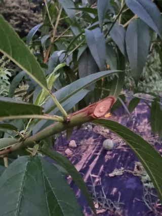 우묵골님의 자유주제 · 자유게시판 작성글 사진