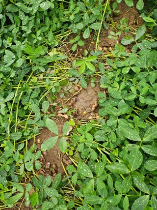 이영호님의 자유주제 · 자유게시판 작성글 사진