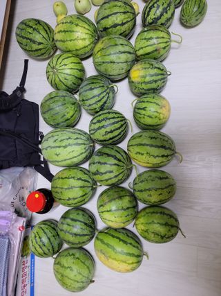 원빈님의 자유주제 · 자유게시판 작성글 사진