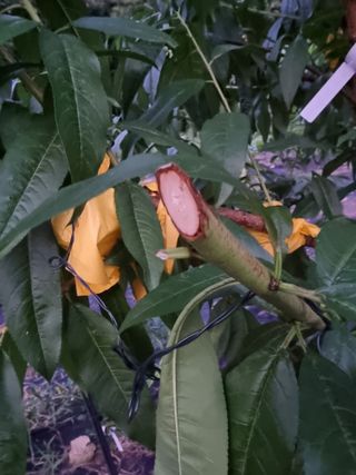 우묵골님의 자유주제 · 자유게시판 작성글 사진