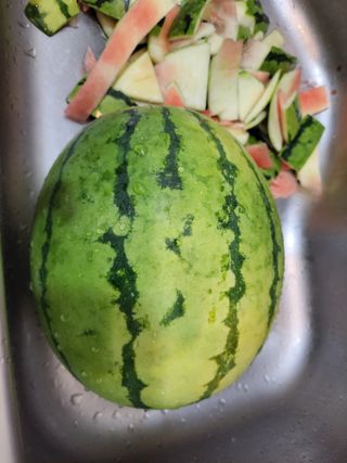 원빈님의 자유주제 · 자유게시판 작성글 사진