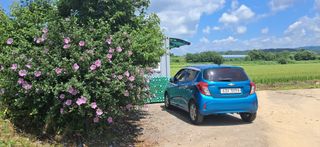 이복길님의 자유주제 · 사진전 작성글 사진