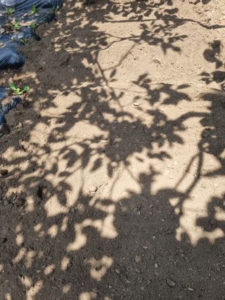 김용대님의 자유주제 · 자유게시판 작성글 사진