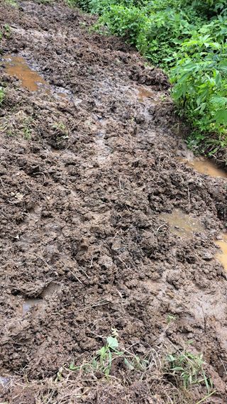 나도농부님의 자유주제 · 자유게시판 작성글 사진