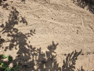 김용대님의 자유주제 · 자유게시판 작성글 사진