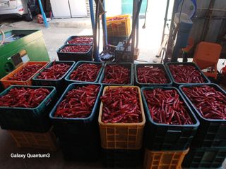 이창우님의 자유주제 · 자유게시판 작성글 사진