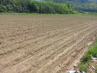 표고버섯18837님의 자유주제 · 자유게시판 작성글 사진