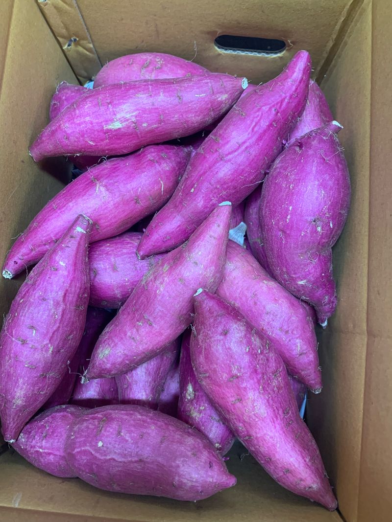 장터 상품 [밤 고구마 호박고구마5kg 택포30.000원] 썸네일