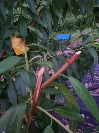 우묵골님의 자유주제 · 자유게시판 작성글 사진