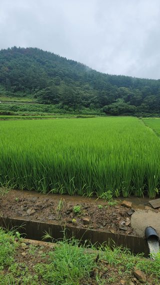 권리를위한투쟁님의 자유주제 · 자유게시판 작성글 사진