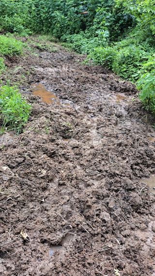 나도농부님의 자유주제 · 자유게시판 작성글 사진