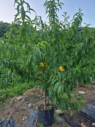 우묵골님의 자유주제 · 자유게시판 작성글 사진